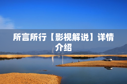 所言所行【影视解说】详情介绍