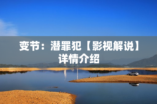 变节：潜罪犯【影视解说】详情介绍