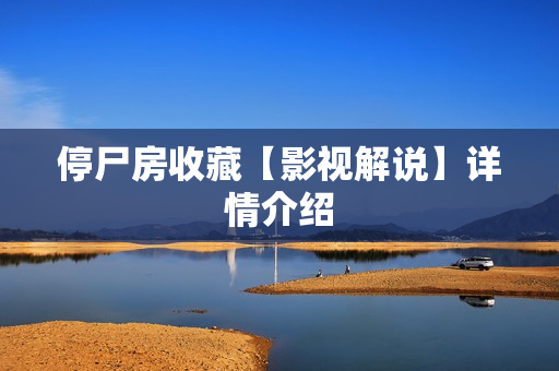 停尸房收藏【影视解说】详情介绍