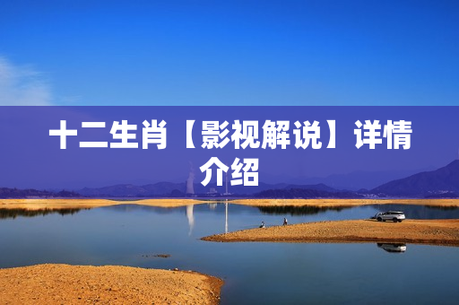 十二生肖【影视解说】详情介绍