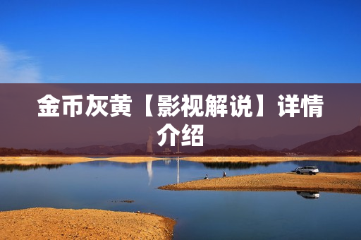 金币灰黄【影视解说】详情介绍