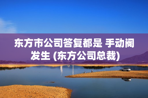 东方市公司答复都是 手动阀 发生 (东方公司总裁)