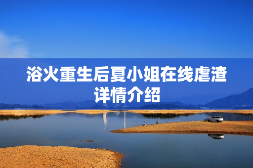 浴火重生后夏小姐在线虐渣详情介绍
