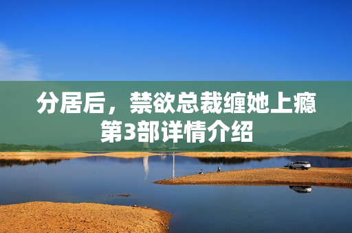 分居后，禁欲总裁缠她上瘾第3部详情介绍