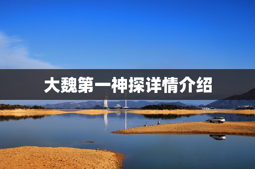 大魏第一神探详情介绍