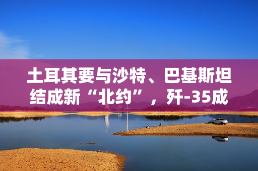 土耳其要与沙特、巴基斯坦结成新“北约”,歼-35成终极砝码? 土耳其要与沙特、巴基斯坦结成新“北约”,歼-35成终极砝码?