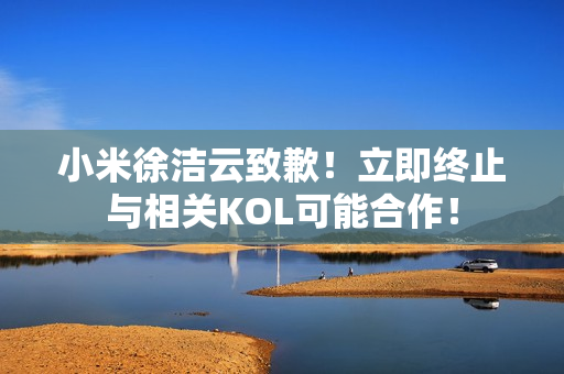 小米徐洁云致歉！立即终止与相关KOL可能合作！