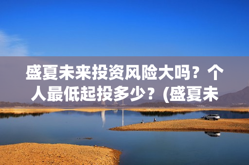 盛夏未来投资风险大吗？个人最低起投多少？(盛夏未来出品公司)