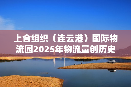 上合组织（连云港）国际物流园2025年物流量创历史新高