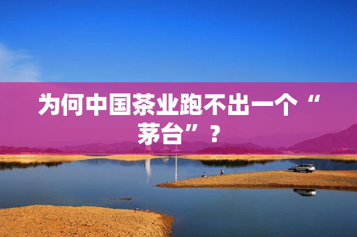 为何中国茶业跑不出一个“茅台”？