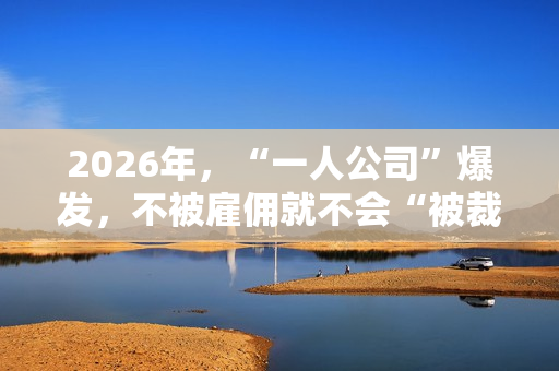 2026年，“一人公司”爆发，不被雇佣就不会“被裁”