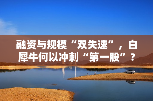 融资与规模“双失速”，白犀牛何以冲刺“第一股”？