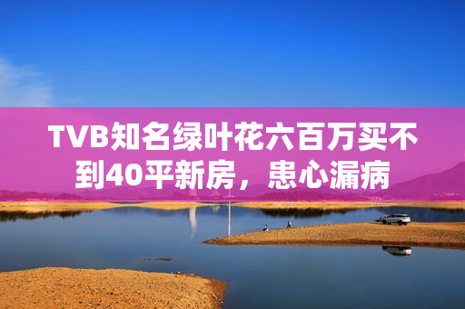 TVB知名绿叶花六百万买不到40平新房，患心漏病