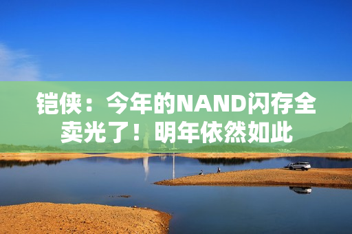 铠侠：今年的NAND闪存全卖光了！明年依然如此