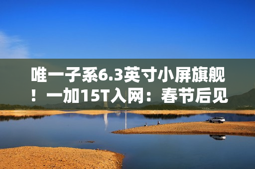 唯一子系6.3英寸小屏旗舰！一加15T入网：春节后见