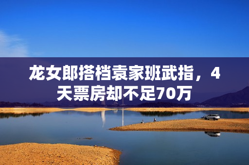 龙女郎搭档袁家班武指，4天票房却不足70万