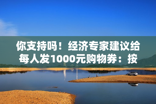 你支持吗！经济专家建议给每人发1000元购物券：按身份证发、没任何限制