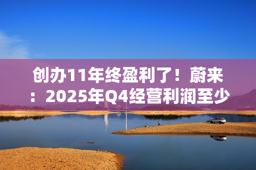 创办11年终盈利了！蔚来：2025年Q4经营利润至少7个亿