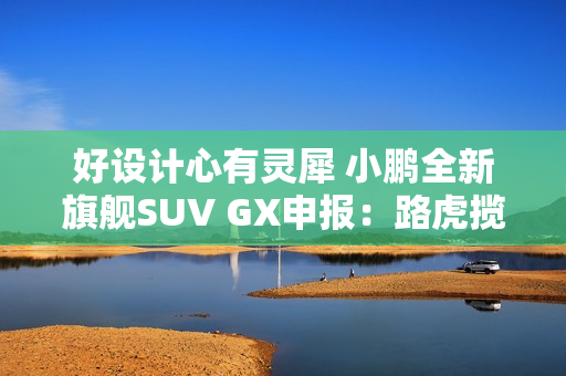 好设计心有灵犀 小鹏全新旗舰SUV GX申报：路虎揽胜既视感