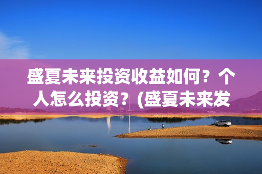 盛夏未来投资收益如何？个人怎么投资？(盛夏未来发行公司)