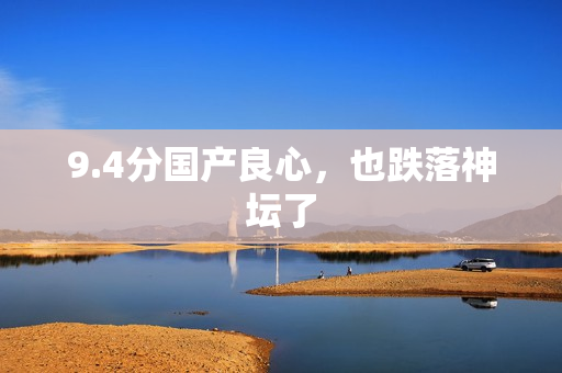 9.4分国产良心，也跌落神坛了