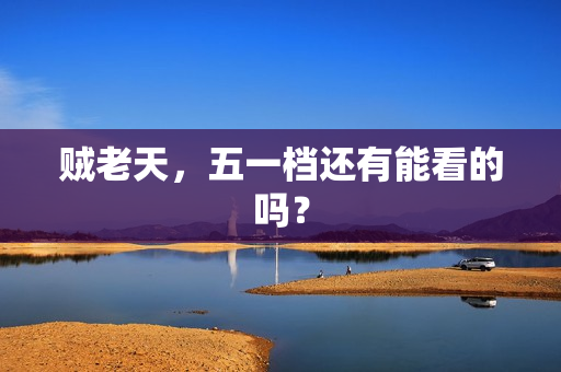 贼老天，五一档还有能看的吗？