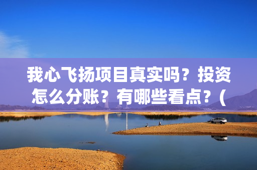 我心飞扬项目真实吗？投资怎么分账？有哪些看点？(我心飞扬成本)