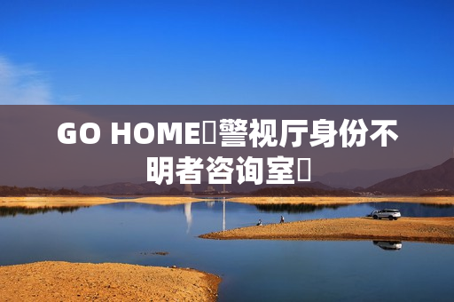 GO HOME〜警视厅身份不明者咨询室〜
