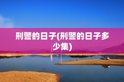 刑警的日子(刑警的日子多少集)