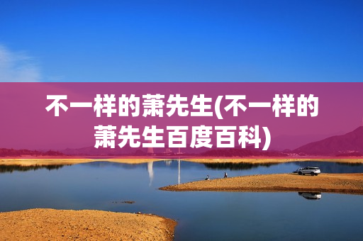 不一样的萧先生(不一样的萧先生百度百科)