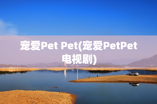 宠爱Pet Pet(宠爱PetPet电视剧)