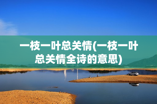 一枝一叶总关情(一枝一叶总关情全诗的意思)