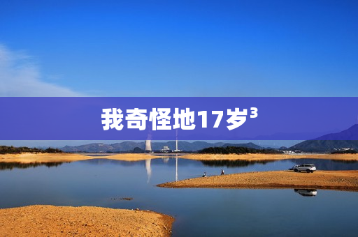 我奇怪地17岁³