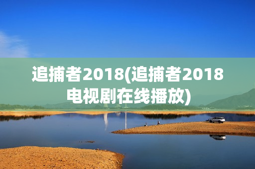 追捕者2018(追捕者2018电视剧在线播放)