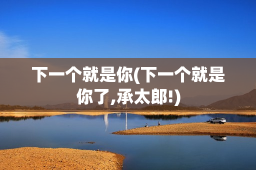 下一个就是你(下一个就是你了,承太郎!)