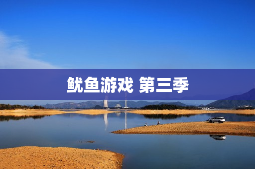 鱿鱼游戏 第三季