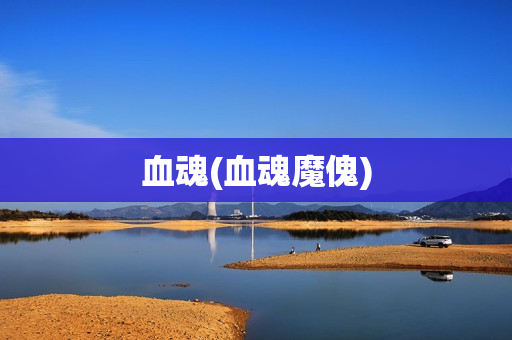 血魂(血魂魔傀)