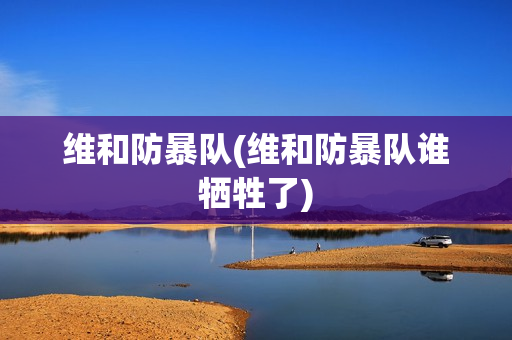 维和防暴队(维和防暴队谁牺牲了)