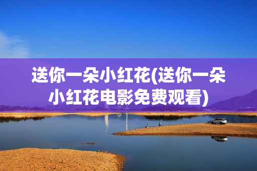 送你一朵小红花(送你一朵小红花电影免费观看)
