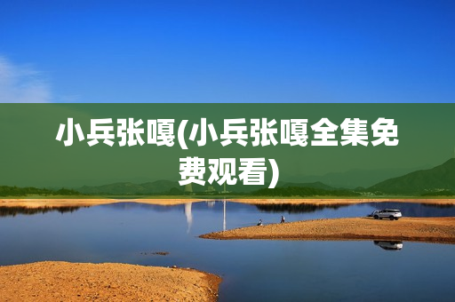 小兵张嘎(小兵张嘎全集免费观看)