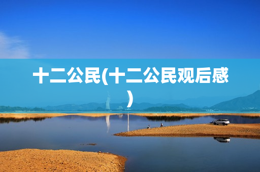 十二公民(十二公民观后感)