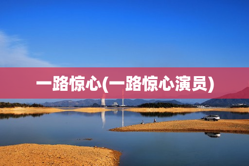 一路惊心(一路惊心演员)