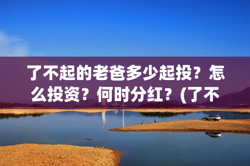 了不起的老爸多少起投？怎么投资？何时分红？(了不起 的老爸)