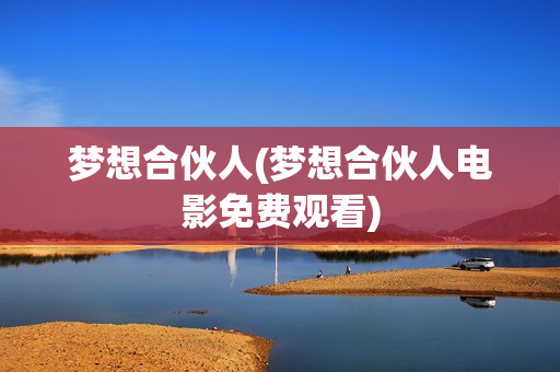 梦想合伙人(梦想合伙人电影免费观看)