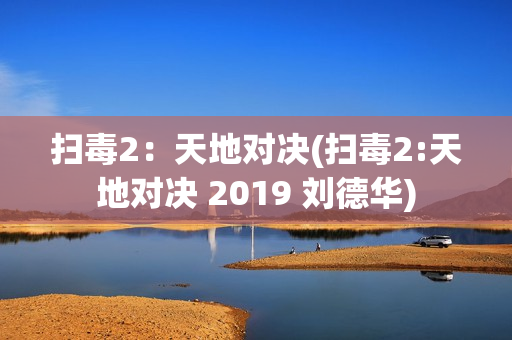扫毒2：天地对决(扫毒2:天地对决 2019 刘德华)