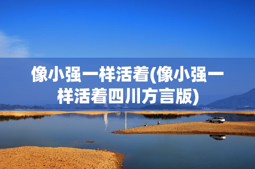 像小强一样活着(像小强一样活着四川方言版)