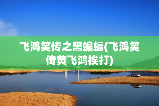 飞鸿笑传之黑蝙蝠(飞鸿笑传黄飞鸿挨打)