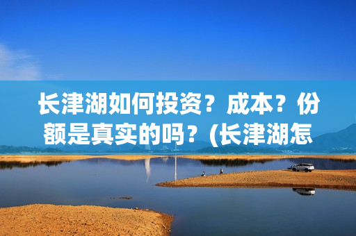长津湖如何投资？成本？份额是真实的吗？(长津湖怎么参与投资)