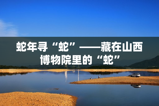蛇年寻“蛇”——藏在山西博物院里的“蛇”