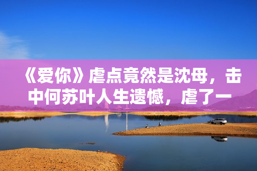 《爱你》虐点竟然是沈母，击中何苏叶人生遗憾，虐了一个大的